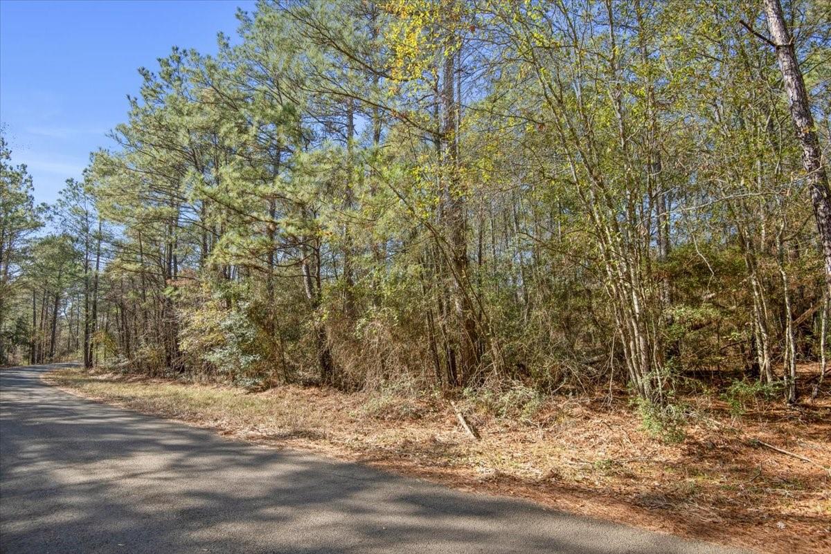 13681 Cr 201 Loop Lane