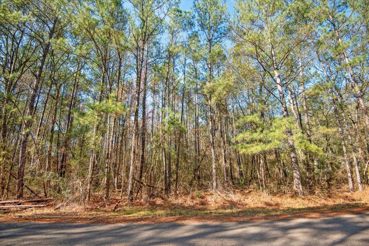 13681 Cr 201 Loop Lane