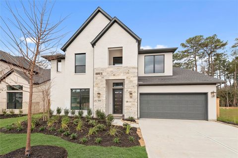 232 Warbler Song Drive Willis TX 77318