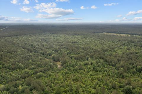 Vacant Land For Sale - 44319 Sheperd<br/> Shepherd, TX 77371