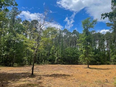 Photo of 1 Highway 69, Zavalla, TX 75980 (MLS # 13643509)
