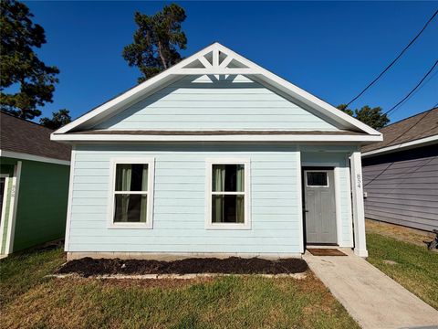 Photo of 854 Omeara, Montgomery, TX 77316 (MLS # 68988509)
