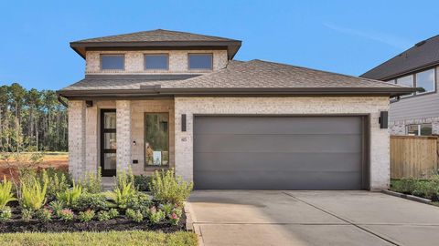 615 Crested Duck Court Willis TX 77318