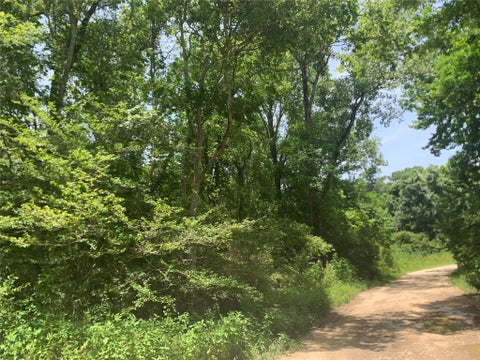 Vacant Land For Sale - 00000 Loblolly Circle<br/> Liberty County, Dayton, TX 77535