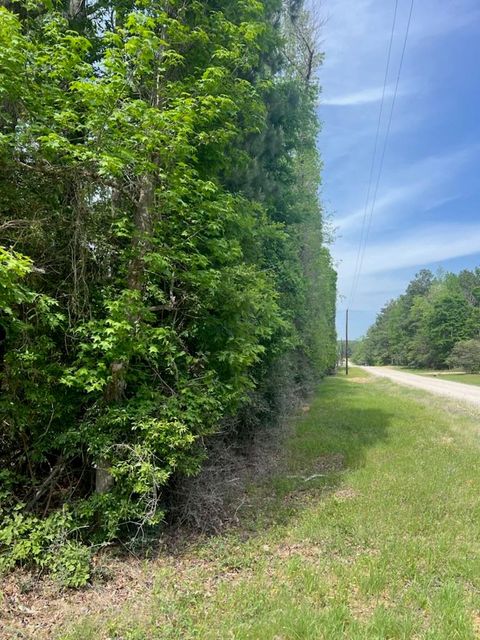 Photo of 0 Conway Road, Livingston, TX 77351 (MLS # 71174264)