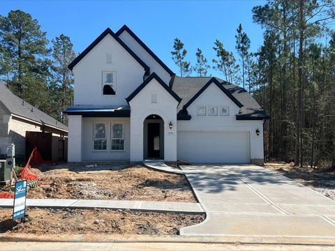 Photo of 29784 Brushy Gables Drive, Magnolia, TX 77354 (MLS # 19458337)