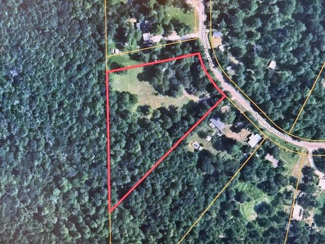 4542 Evergreen Forest Lane