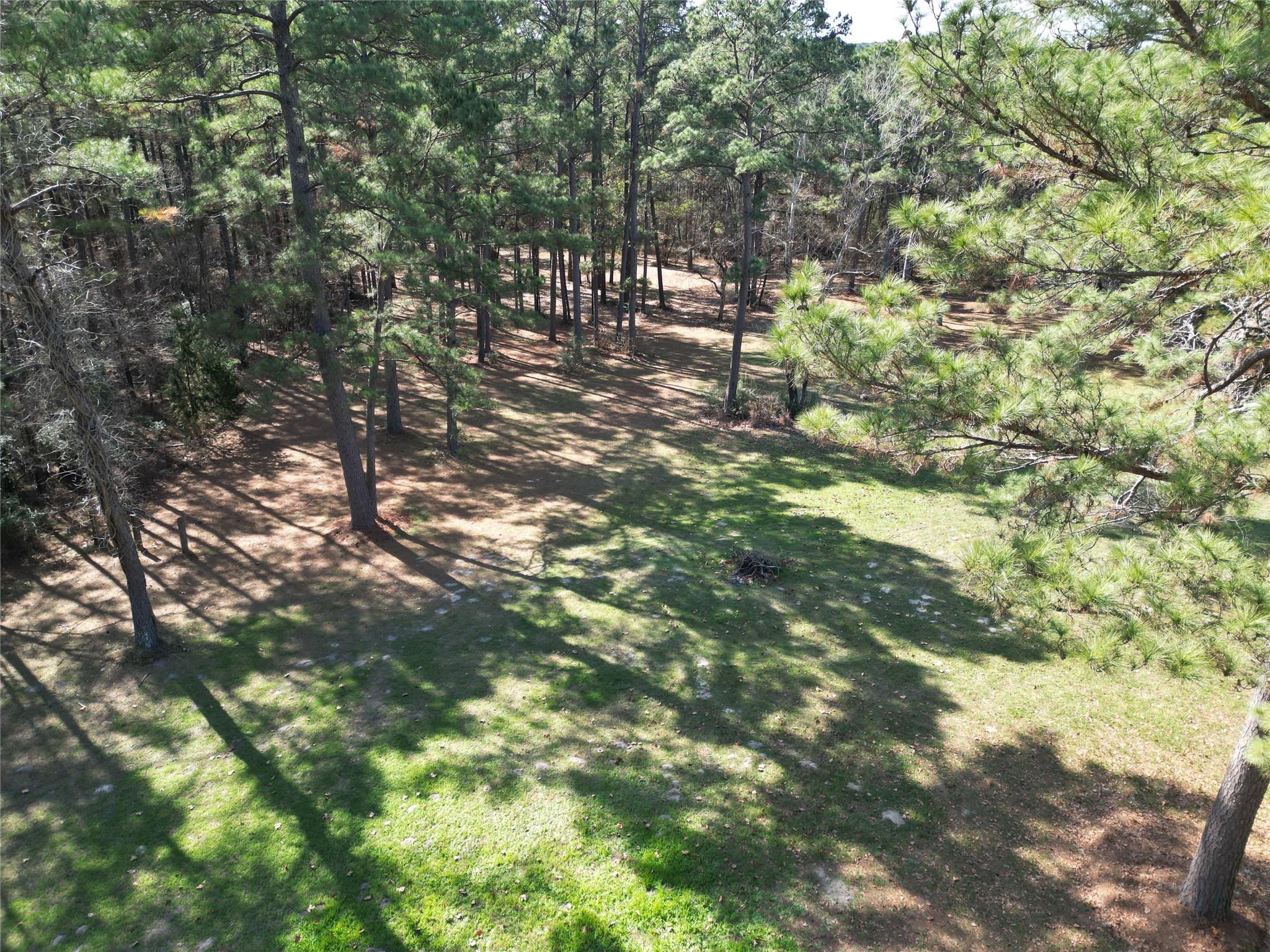 4542 Evergreen Forest Lane