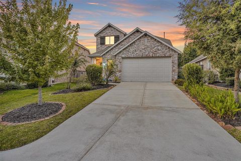 Photo of 118 Emory Birch Drive, Montgomery, TX 77316 (MLS # 63570237)