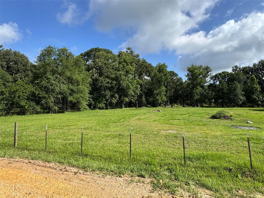 Photo of 26817 Long Street, Splendora, TX 77372 (MLS # 17687399)
