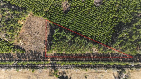 Vacant Land For Sale - 1495 County Road 2200<br/> Liberty County, Cleveland, TX 77327