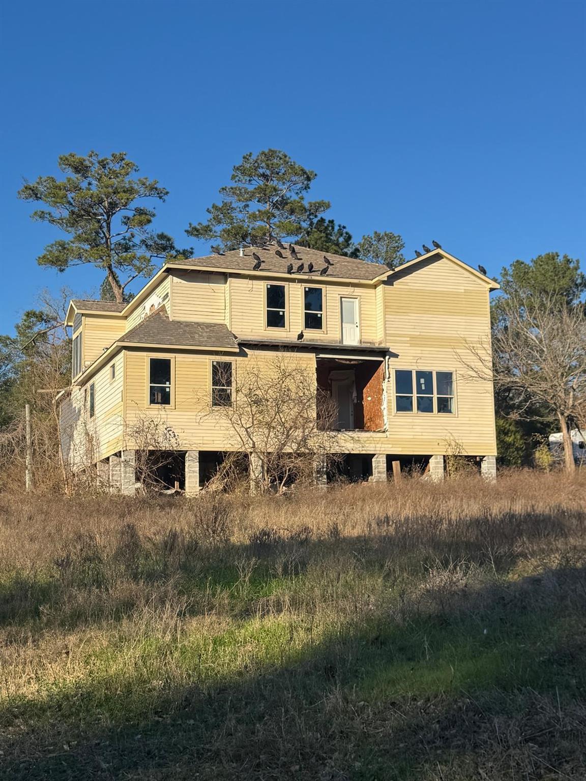 4974 Tall Pine Road