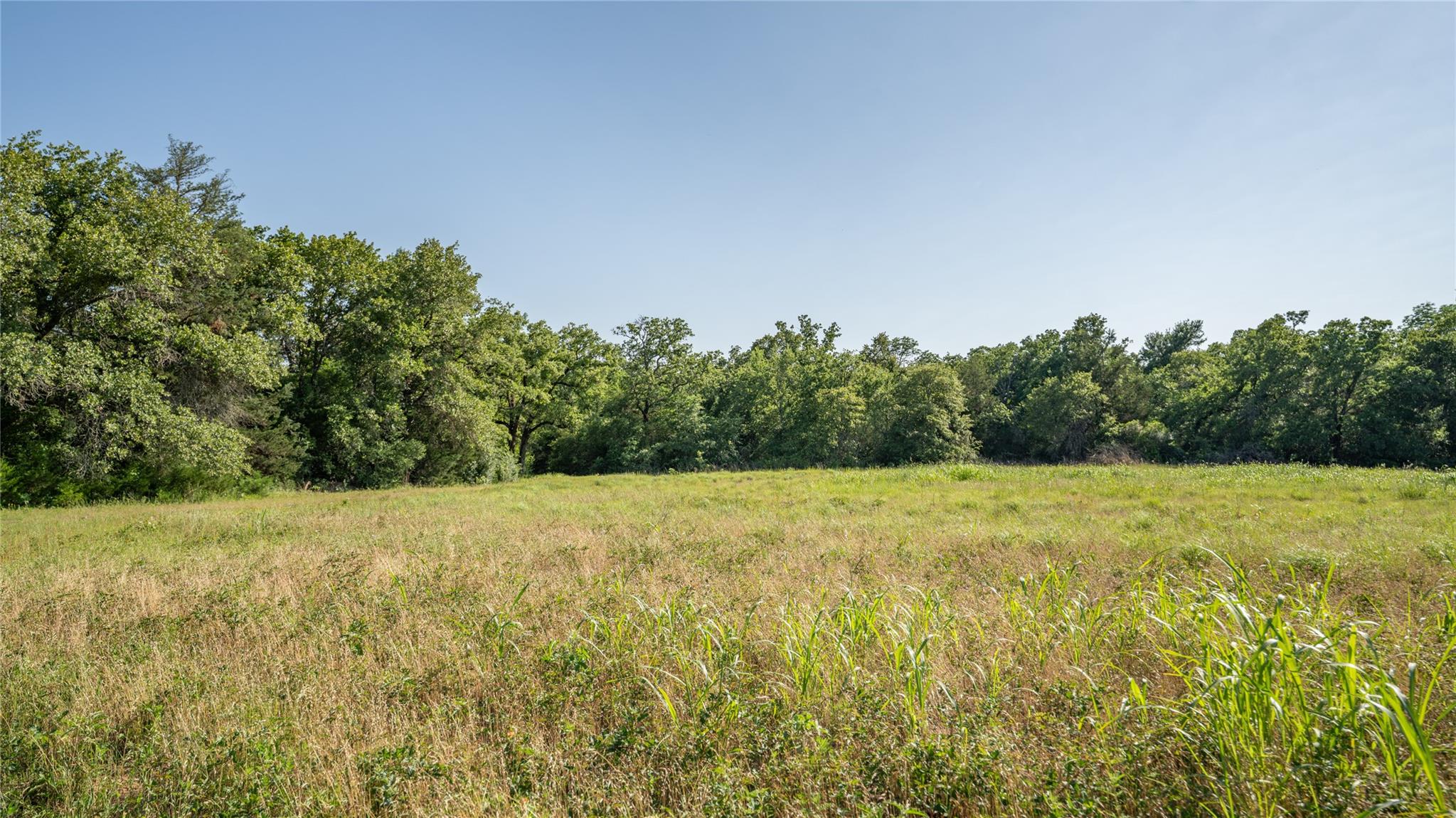 2485 County Road 258
