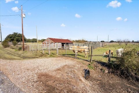 Photo of TBD Mueck Road, Needville, TX 77461 (MLS # 81846258)