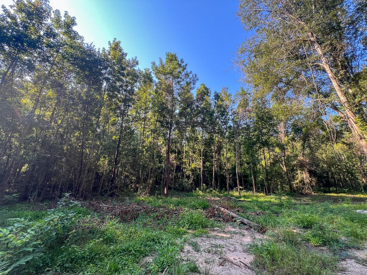 0 Off Hardy Bottom Rd