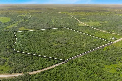 Photo of 0 Mcguill Road, Goliad, TX 77963 (MLS # 84281218)
