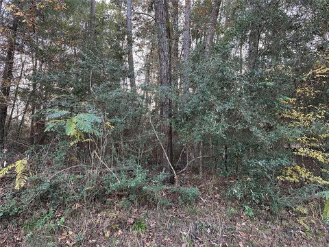 Vacant Land For Sale - TBD Gary Court<br/> Livingston, TX 77351