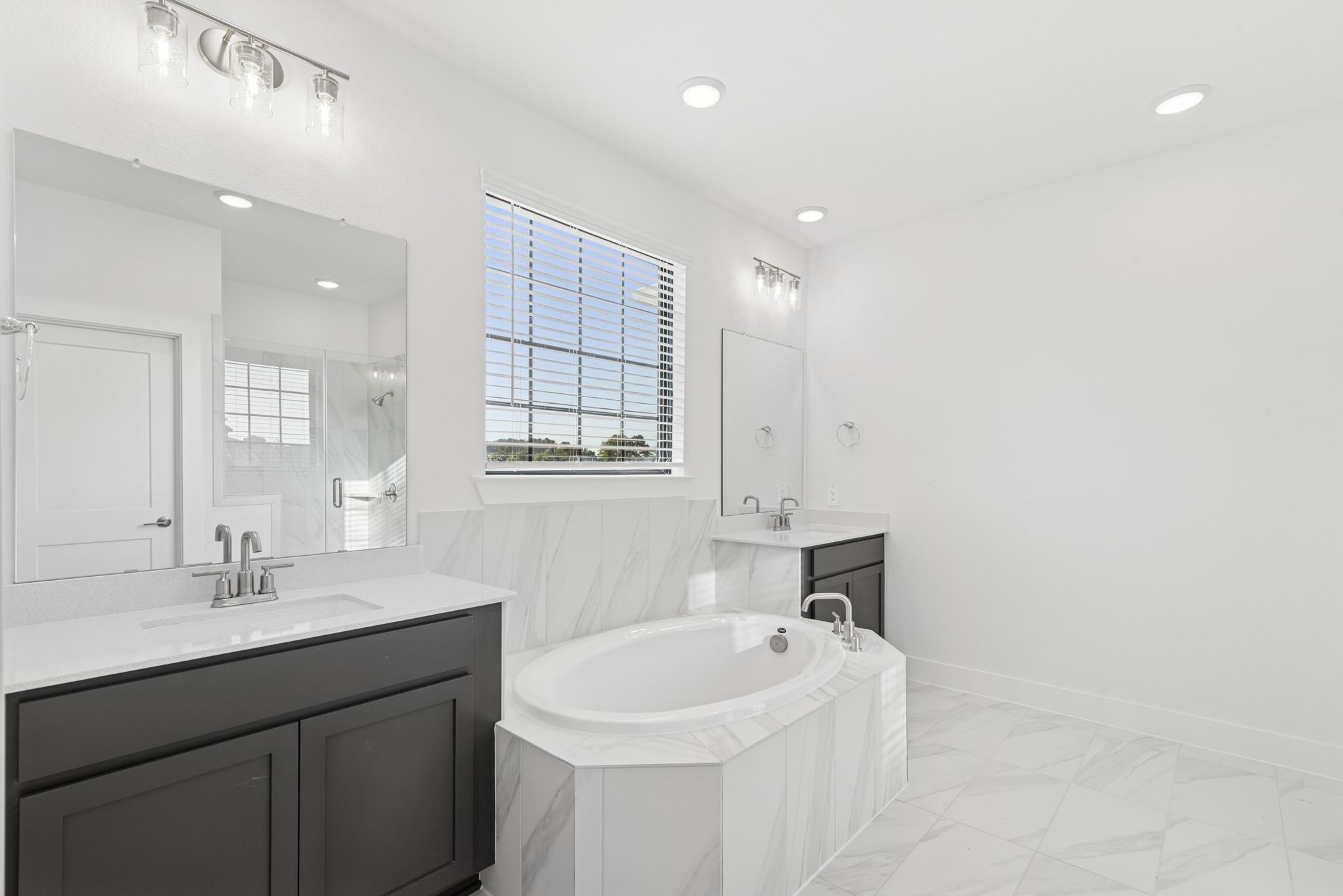 21006 Yellow Ipe Grove Court