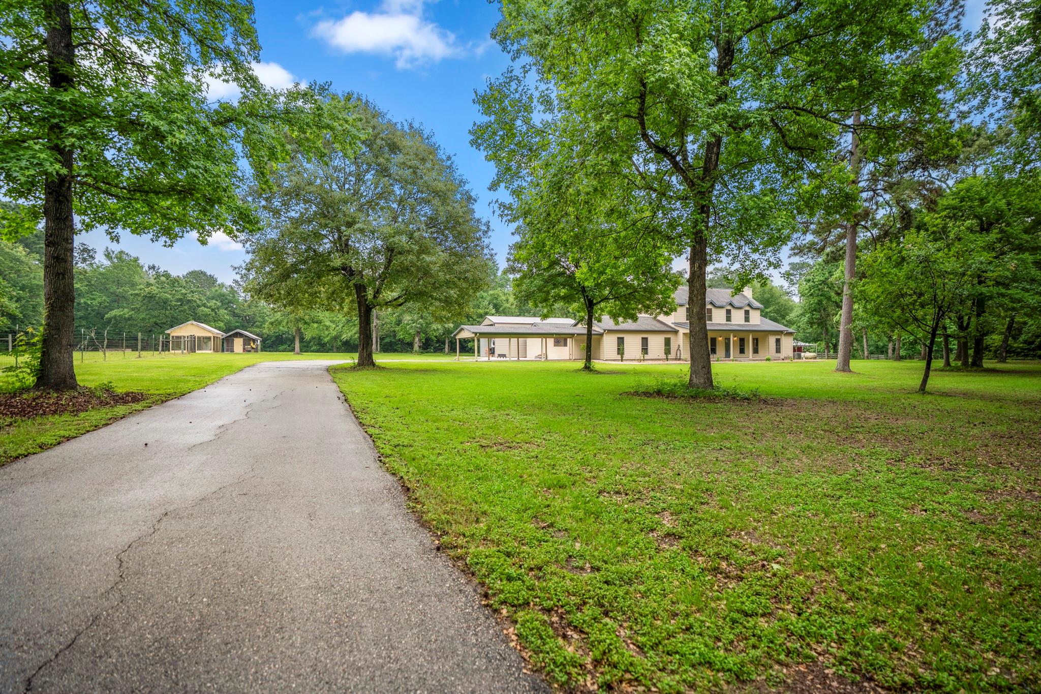 14444 Pine Tree Road