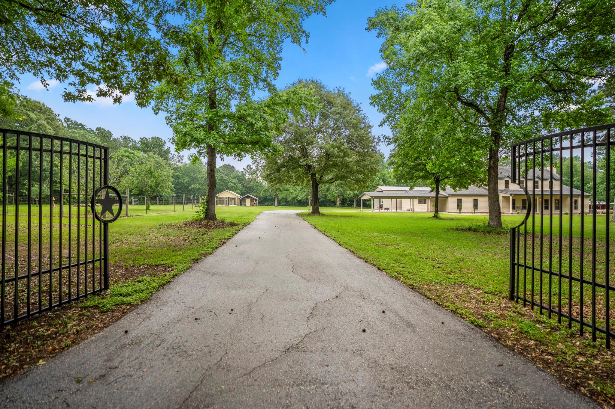 14444 Pine Tree Road