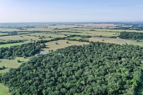 Photo of 60 Fm 2967, Crockett, TX 75835 (MLS # 53056489) Photo of 60 Fm 2967, Crockett, TX 75835 (MLS # 53056489)