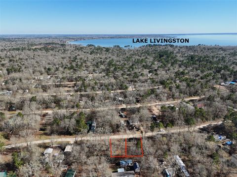 Photo of TBD Somerset, Livingston, TX 77351 (MLS # 88413554)