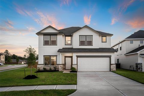 10107 Basil Beebalm Trl Magnolia TX 77354