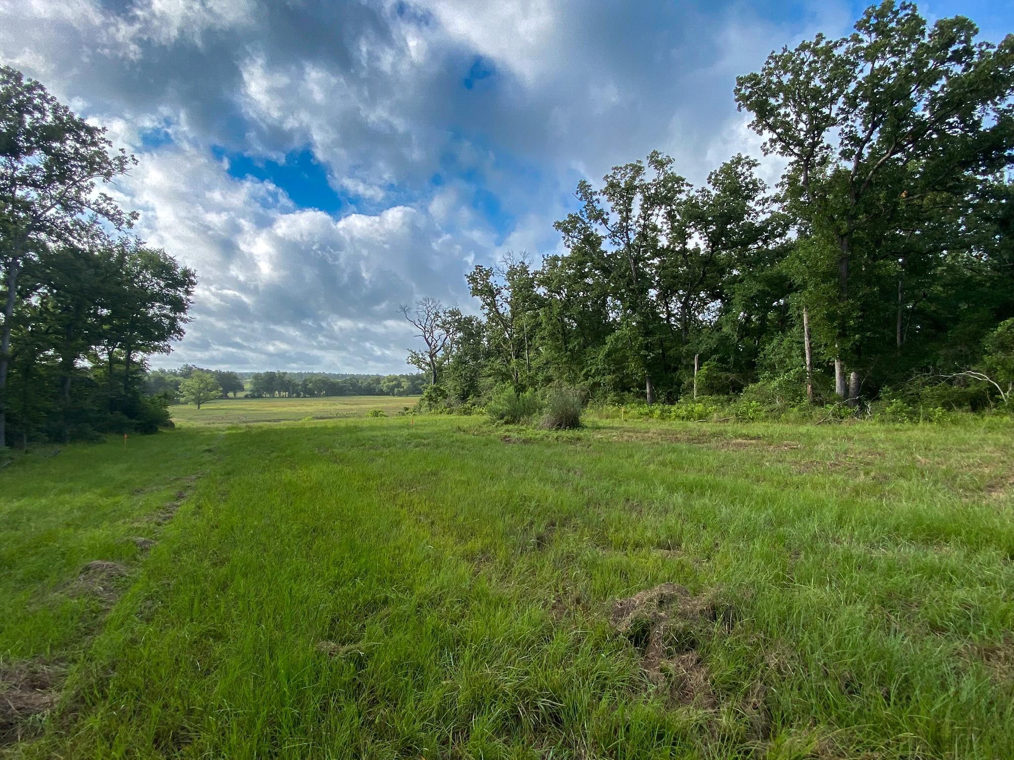 Tract 7 & 8 County Road 426