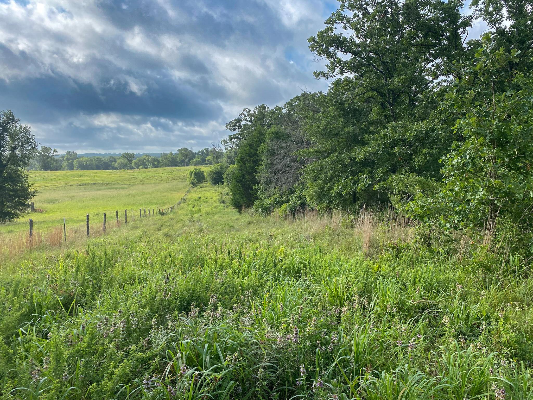 Tract 7 & 8 County Road 426