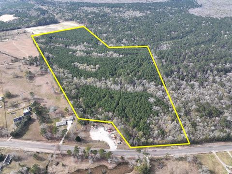 Vacant Land For Sale - Highway 1131<br/> Vidor, TX 77662