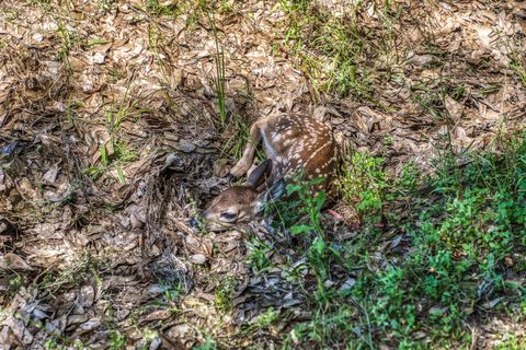 Tiny photo for 16597 Fm 912, Washington, TX 77880 (MLS # 72730658)
