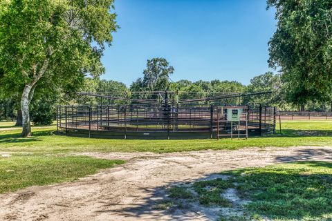 Tiny photo for 16597 Fm 912, Washington, TX 77880 (MLS # 72730658)