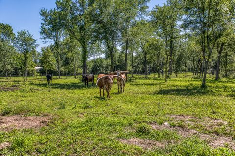 Tiny photo for 16597 Fm 912, Washington, TX 77880 (MLS # 72730658)