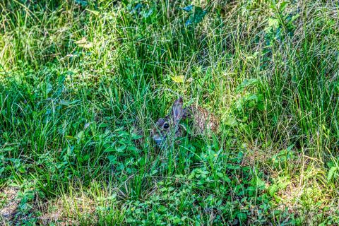 Tiny photo for 16597 Fm 912, Washington, TX 77880 (MLS # 72730658)