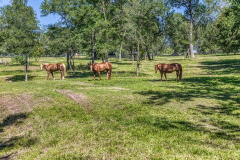 Tiny photo for 16597 Fm 912, Washington, TX 77880 (MLS # 72730658)