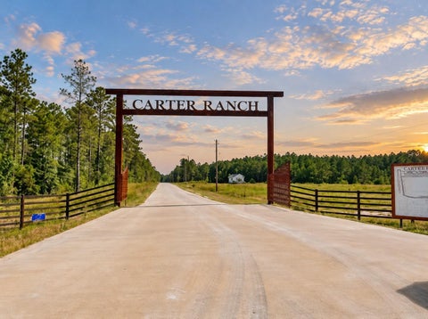 Photo of 8140 Carter Ranch Road, Kountze, TX 77625 (MLS # 97087837)