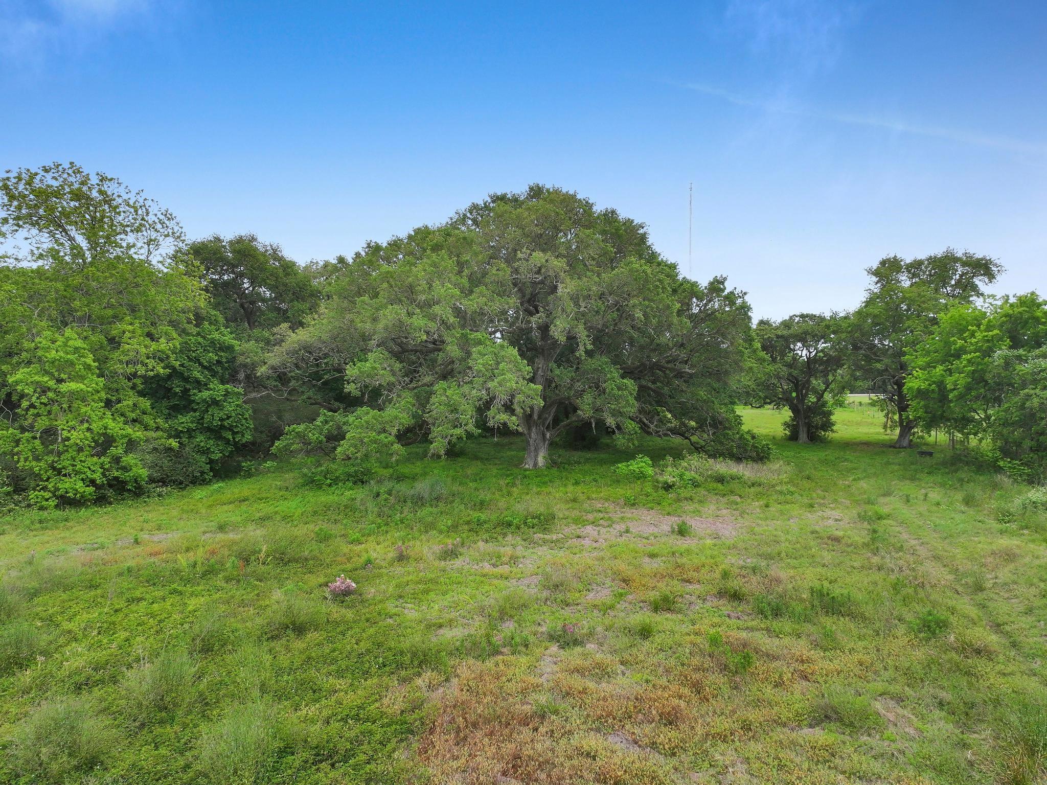 2187 Old Mexico Road
