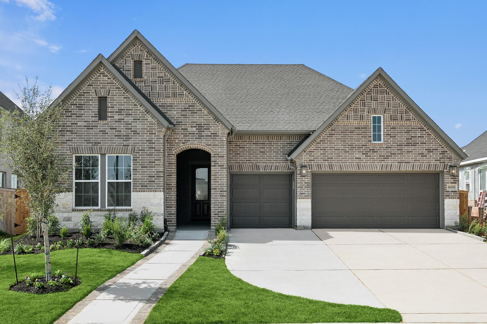 16303 Blue Mistflower Lane