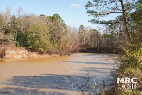 Vacant Land For Sale - 00 Sam Rayburn Pkwy<br/> Colmesneil, TX 75951