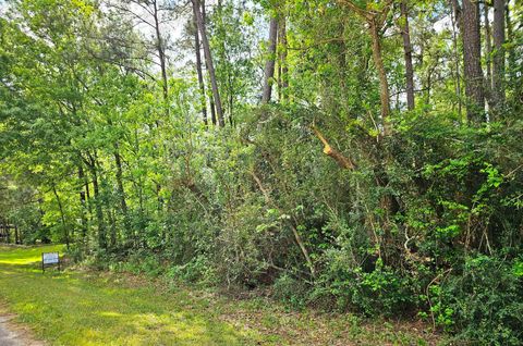 Photo of TBD Bernard Court, Porter Heights, TX 77365 (MLS # 76317315)