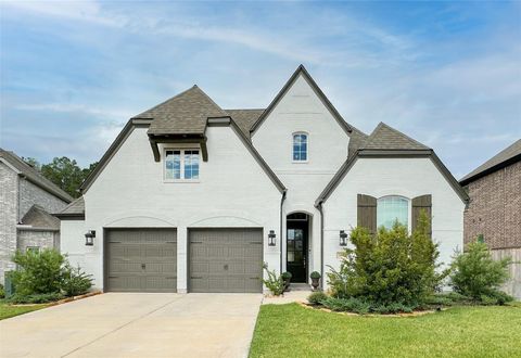 Photo of 308 Mallory Court, Montgomery, TX 77316 (MLS # 38476260)