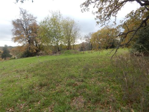 8537 Berger Easement Anderson TX 77830