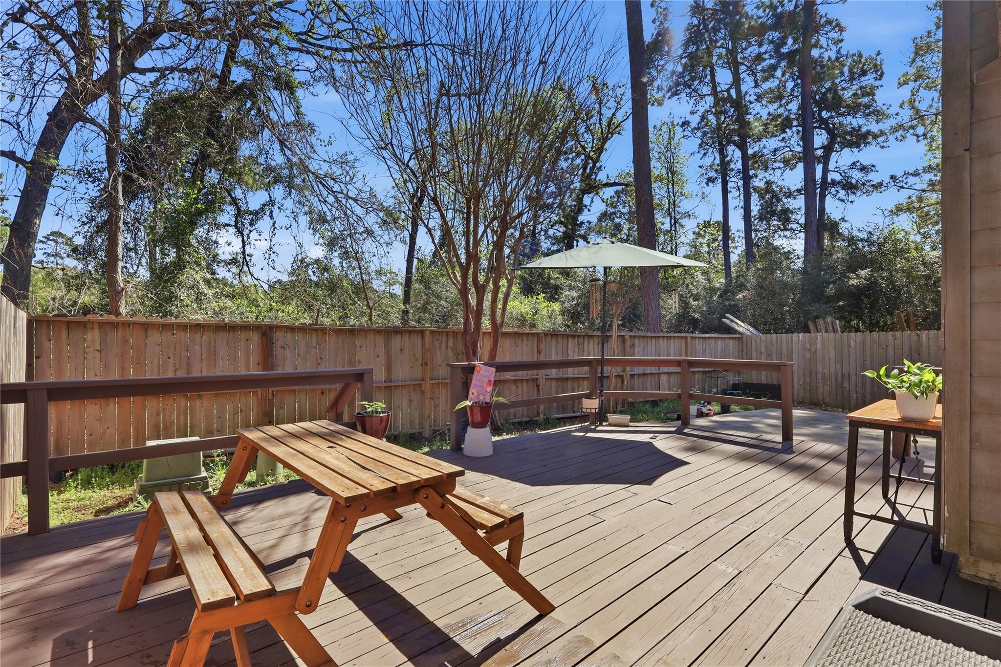 151 Anise Tree Place