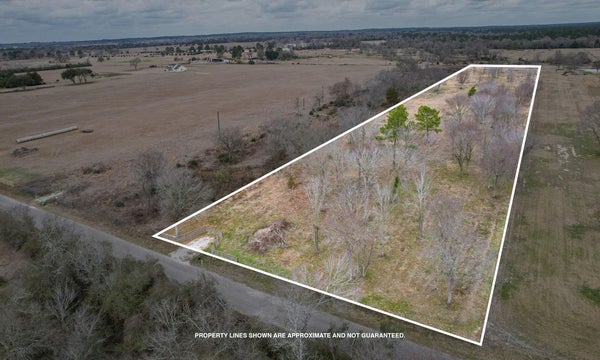 32186 HOWELL RD, WALLER, TX 77484 - Image 91307e83ca8a284302db77c75e8bfa7c/708884056