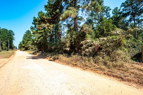 Photo of 0 Ole Long Pull Road, Livingston, TX 77351 (MLS # 69470129)