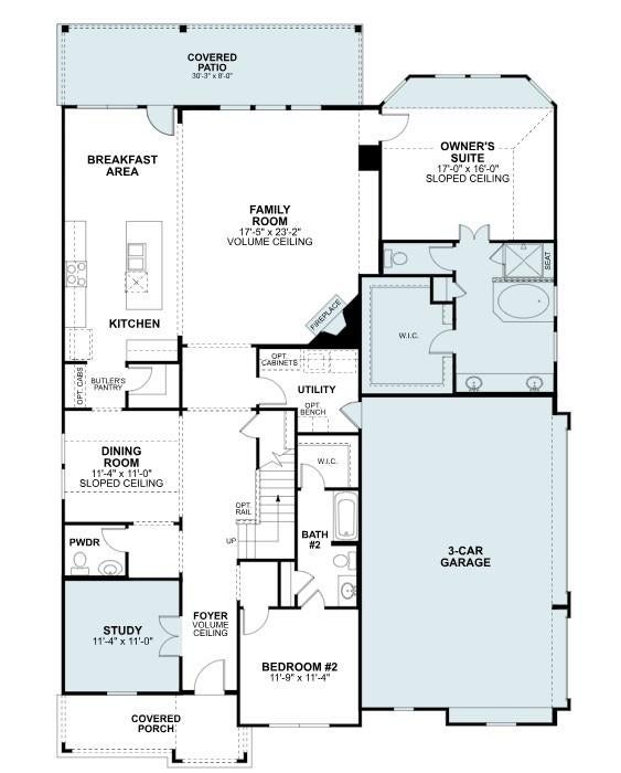 21003 Yellow Ipe Grove Court