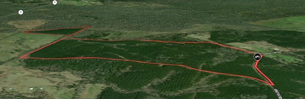 Parcel ID 30383 Fenley Flat