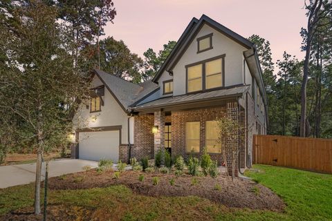 403 Elf Owl Court Willis TX 77318