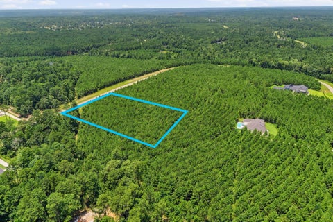 Vacant Land For Sale - 16222 Ridge Oak Road<br/> Montgomery County, Willis, TX 77378