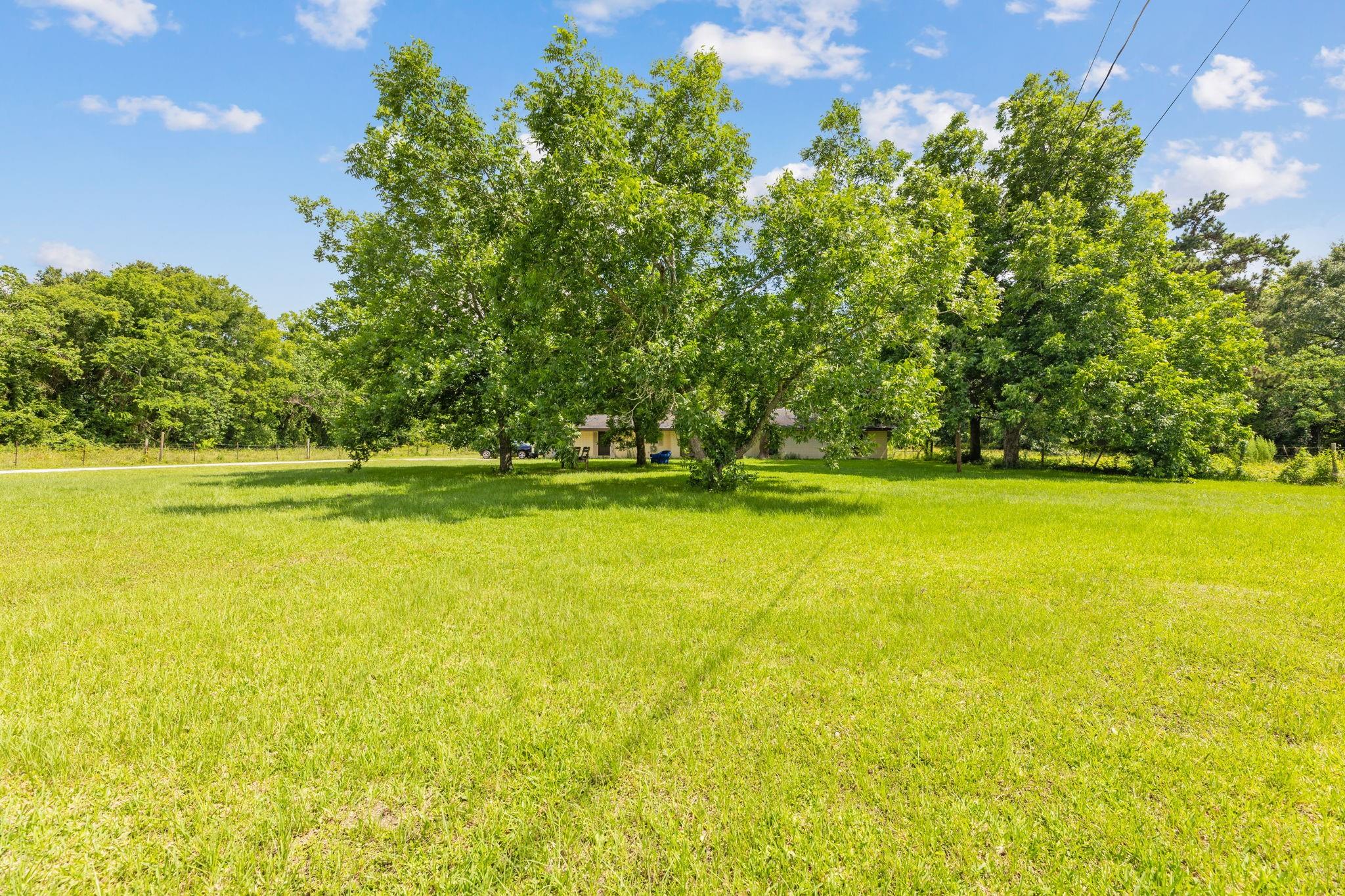 7705 Rankin Road